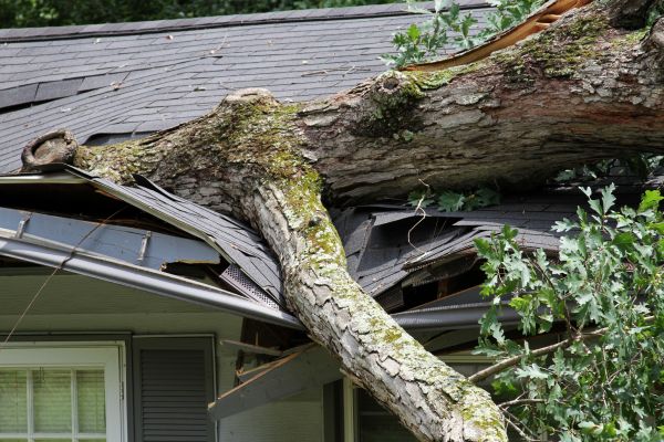 Storm Remediation in Spokane