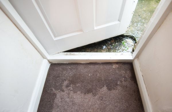 Wet Carpet Restoration in Spokane
