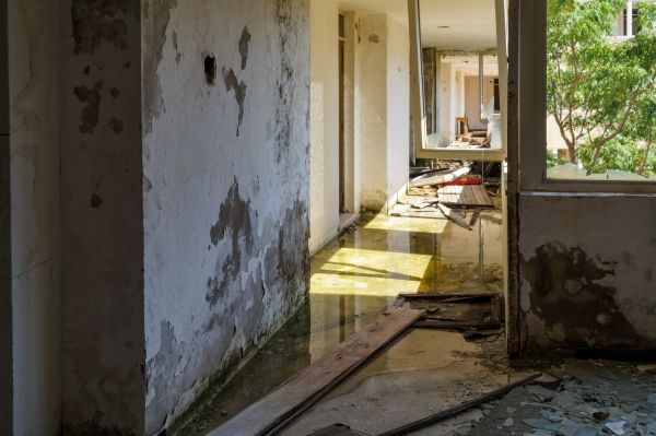 Water Removal Service in Spokane