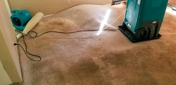 Carpet Water Extraction in Spokane