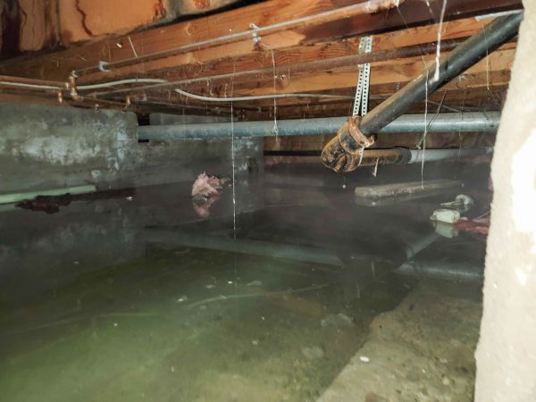 Crawl Space Drying in Spokane