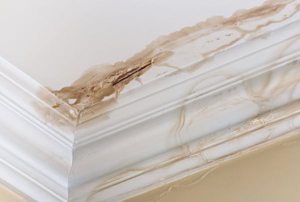 Water Damage Recovery in Spokane